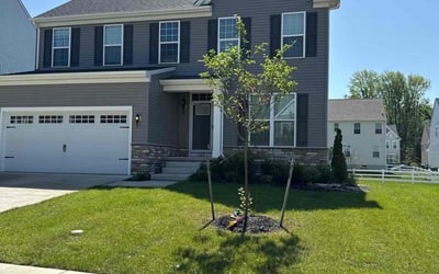 Photo of Nicholas T.'s yard after getting lawn care in Portland, TN