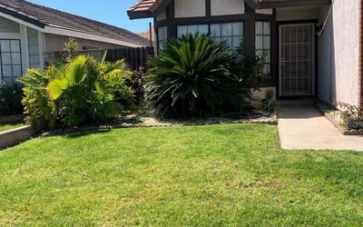 Photo of Lucy Z.'s yard after getting lawn care in Fontana, CA