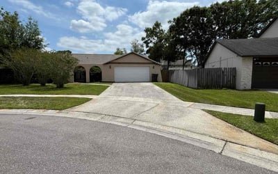 Photo of Eddie C.'s yard after getting lawn care in Tampa, FL