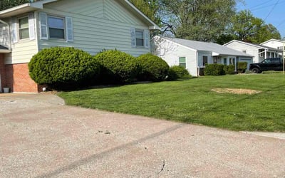 Photo of Donna M.'s yard after getting lawn care in Collinsville, IL