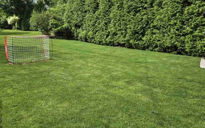 Photo of Raj B.'s yard after getting lawn care in West Bend, WI