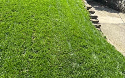 Photo of Jonathan H.'s yard after getting lawn care in Cincinnati, OH