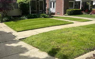 Photo of Jeanette M.'s yard after getting lawn care in Jenison, MI