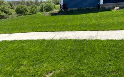 Photo of Joan B.'s yard after getting lawn care in Charlotte, MI