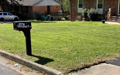 Photo of Ben O.'s yard after getting lawn care in Richmond, VA