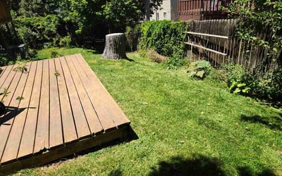 Photo of Liliana D.'s yard after getting lawn care in Troy, NY