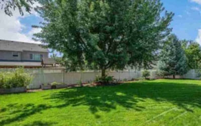 Photo of Trenee M.'s yard after getting lawn care in Post Falls, ID