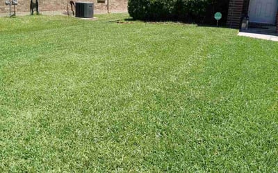 Photo of Mia M.'s yard after getting lawn care in Rowland Heights, CA