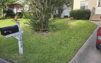 Photo of Diana M.'s yard after getting lawn care in Grapevine, TX