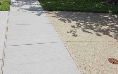 Photo of Terry W.'s yard after getting lawn care in Grand Prairie, TX