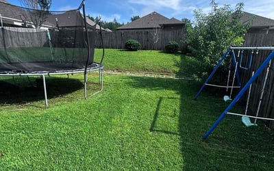 Photo of Camillie M.'s yard after getting lawn care in Tracy, CA