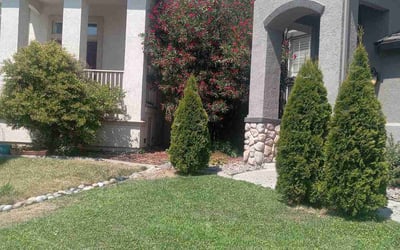 Photo of Evangeline E.'s yard after getting lawn care in Stockton, CA