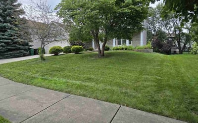 Photo of Janice C.'s yard after getting lawn care in Bloomingdale, IL