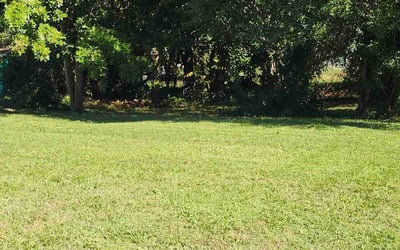 Photo of Samantha K.'s yard after getting lawn care in Stuart, FL