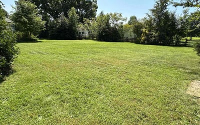 Photo of Joan M.'s yard after getting lawn care in Winston-Salem, NC