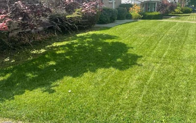 Photo of Jeff K.'s yard after getting lawn care in Blue Ash, OH