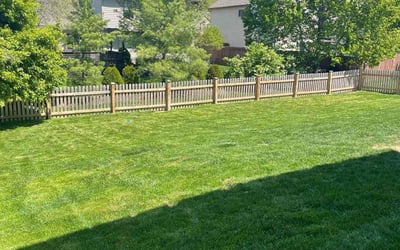 Photo of Clinton M.'s yard after getting tree care in Powell, OH