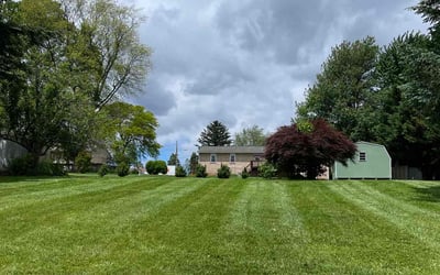 Photo of Cameron B.'s yard after getting lawn care in Kannapolis, NC