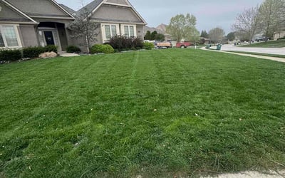 Photo of Jose R.'s yard after getting lawn care in Excelsior Springs, MO
