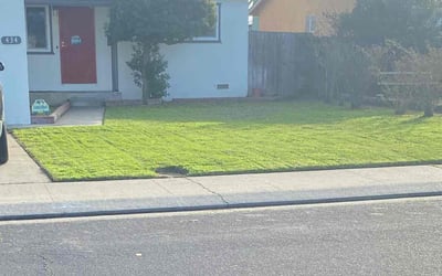 Photo of Catherine C.'s yard after getting lawn care in Manteca, CA