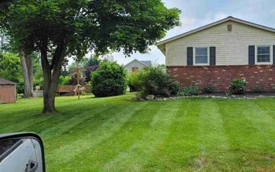 Photo of Myrna O.'s yard after getting lawn care in Lutherville Timonium, MD