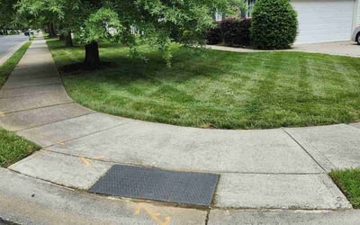 Photo of Sharilyn L.'s yard after getting lawn care in Coram, NY