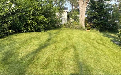 Photo of Janelle L.'s yard after getting lawn care in Kingston, PA
