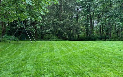 Photo of Danny W.'s yard after getting lawn care in Lenoir City, TN