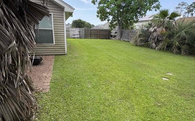 Photo of Iris H.'s yard after getting lawn care in Sealy, TX