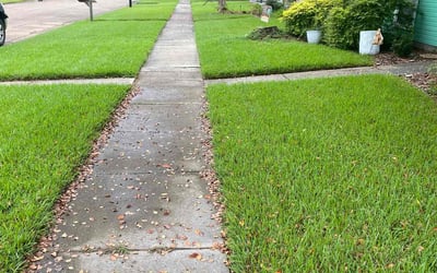 Photo of Cheryl S.'s yard after getting lawn care in Baton Rouge, LA