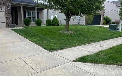 Photo of Jess O.'s yard after getting tree care in Elgin, TX