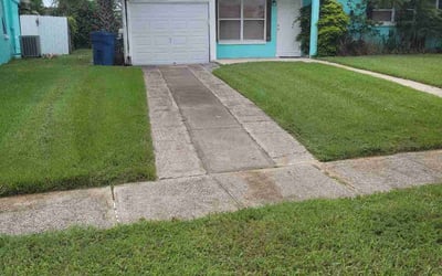 Photo of Tabetha N.'s yard after getting lawn care in Watertown, MA