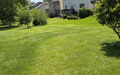 Photo of Julia S.'s yard after getting lawn care in Ferndale, MI