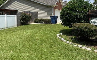 Photo of Ronald L.'s yard after getting lawn care in Zephyrhills, FL