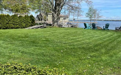 Photo of Qian X.'s yard after getting lawn care in Oswego, NY