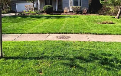 Photo of Alonda M.'s yard after getting lawn care in Lagrange, OH
