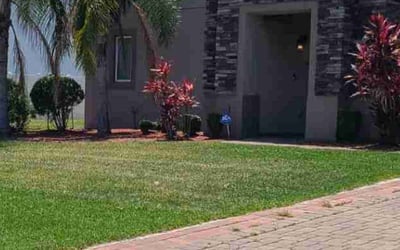 Photo of James E.'s yard after getting lawn care in Tampa, FL