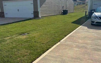 Photo of John C.'s yard after getting tree care in Cape Coral, FL