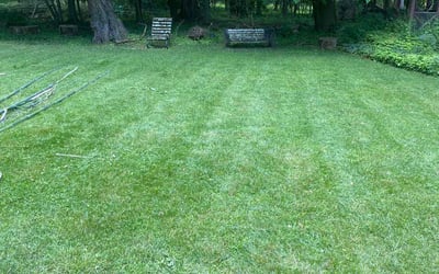 Photo of Audrea O.'s yard after getting lawn care in Randolph, NJ