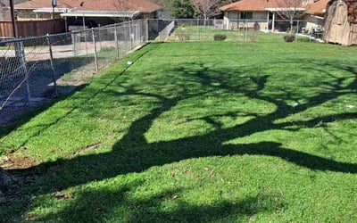 Photo of Lance M.'s yard after getting lawn care in East Greenwich, RI