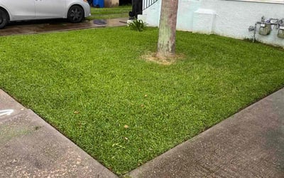 Photo of Shelly G.'s yard after getting lawn care in Monroe, CT