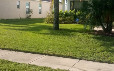 Photo of Joseph C.'s yard after getting lawn care in Tavares, FL