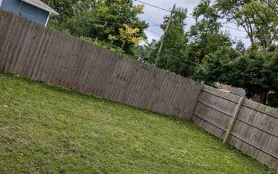 Photo of Nehal P.'s yard after getting lawn care in Maple Valley, WA