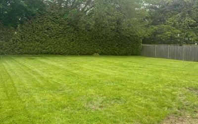 Photo of Brett R.'s yard after getting lawn care in Port Charlotte, FL