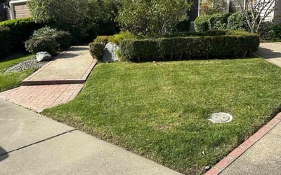Photo of Rex E.'s yard after getting lawn care in Elk Grove, CA
