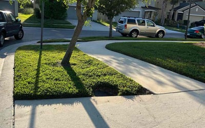 Photo of Jessica R.'s yard after getting lawn care in Boston, MA