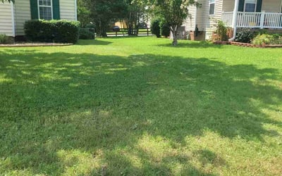 Photo of Naagarjuna G.'s yard after getting lawn care in Holly Springs, NC