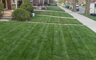 Photo of Dane B.'s yard after getting lawn care in Detroit, MI
