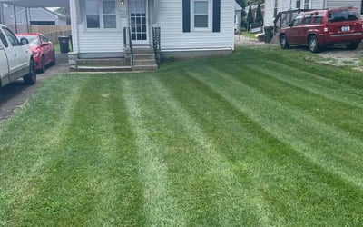 Photo of Anna G.'s yard after getting lawn care in Taylorsville, KY