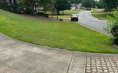 Photo of Jeanetta A.'s yard after getting lawn care in Sharpsburg, GA